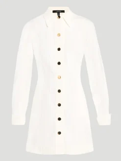 Alexa Denim Seamed Mini Dress
