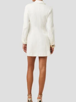 Alexa Denim Seamed Mini Dress