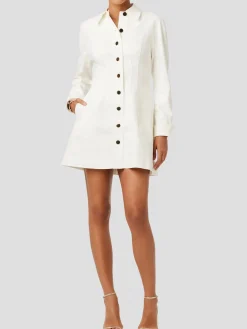 Alexa Denim Seamed Mini Dress
