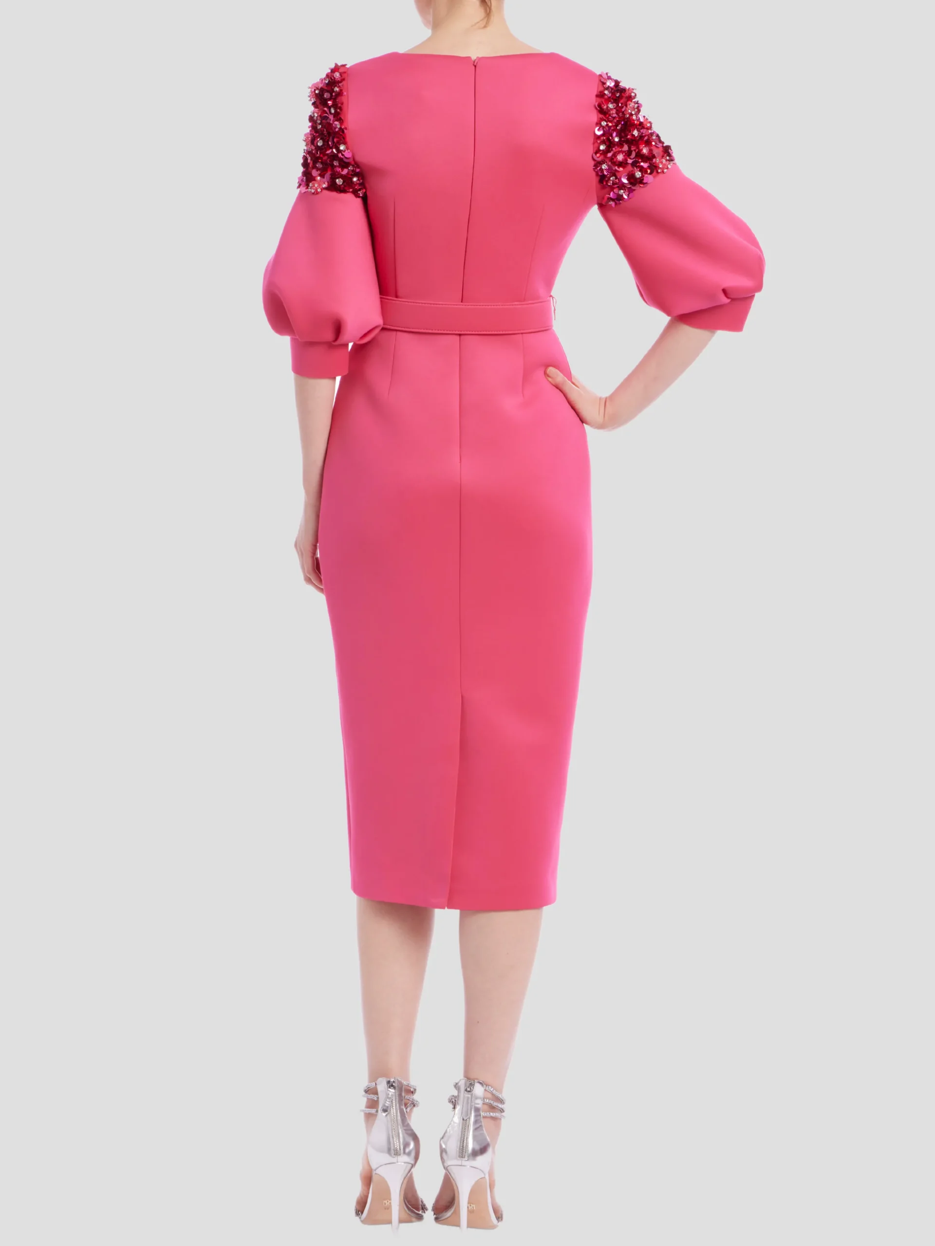 Embellished Sleeve Dress in Rose