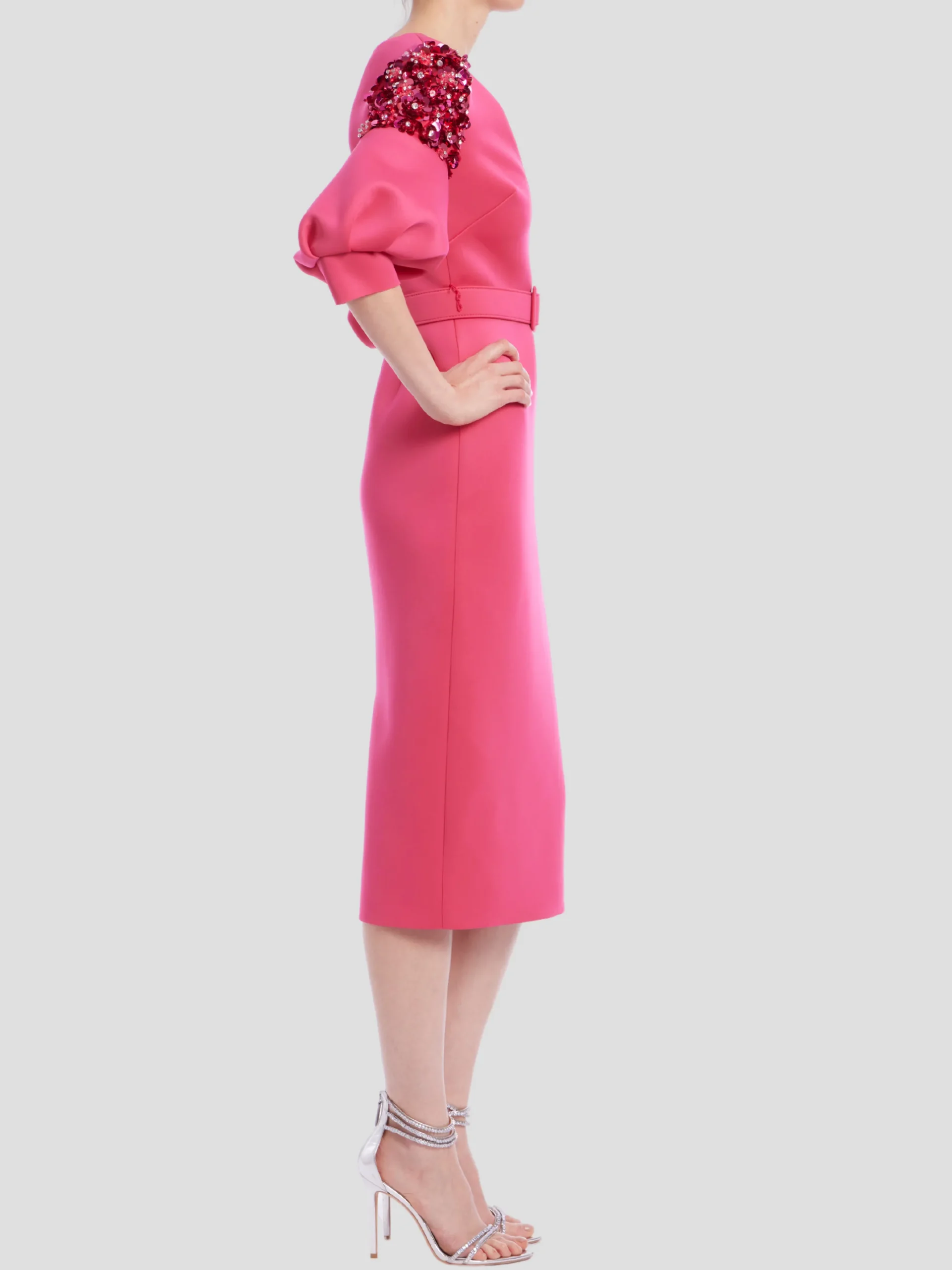 Embellished Sleeve Dress in Rose