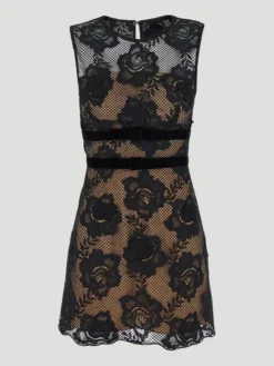 Lace Velvet Bow Mini Dress in Black